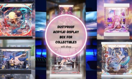 Dustproof Acrylic Display Box for Collectibles