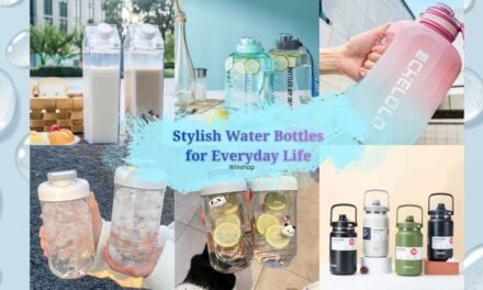 Stylish Water Bottles for Everyday Life